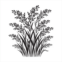 Rice plant silhouette on white background

