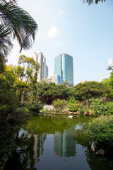 Hongkong Garden of Life Flamingos and skyscrapers with mirror images in lake