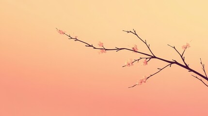 Peach Blossom Branch Against A Soft Orange Sky