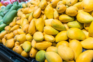 Pile of yellow mangoes in market