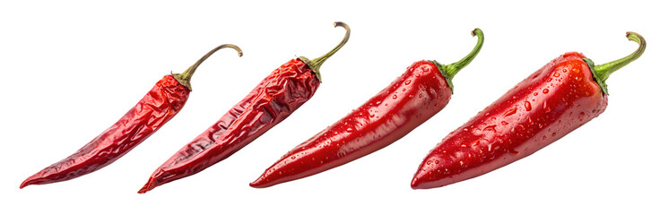 Set of four hot red peppers chili isolated on the transparent background. Dried and fresh chili. 