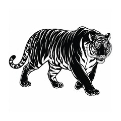 Tiger Vector Illustration on White Background