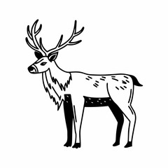 silhouette of a deer