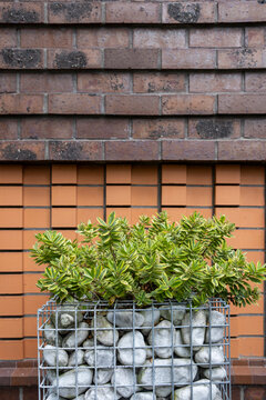 A decorative arrangement of plants in a wire frame planter juxtaposed against a textured brick wall, highlighting modern design and the incorporation of nature in urban spaces.