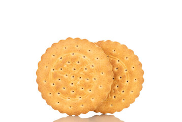 Two sweet delicious cookies, close-up, isolated on white background.
