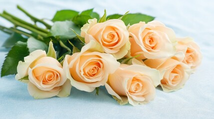Obraz premium Exquisite rose bouquet on vibrant blue, stunning floral display for celebrations and gifts
