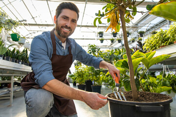 Young bearded man working with plants in a greenhouse