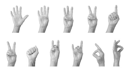 Elderly hand showing counting gestures and signs like peace, fist, and rock horn, wrinkled skin, gray tones, expressive communication and numbers 1 to 5. Isolated on white background.