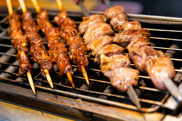 Meat skewers on the grill