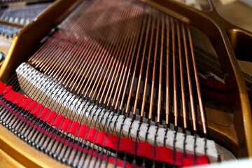 Internal structure of grand piano