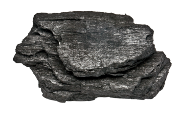  wood coal isolated