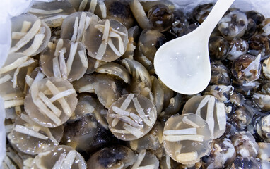 Chinese snack sea worm jelly
