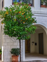 Naklejka premium Architecture of Tivat, Montenegro,