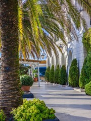 Obraz premium Beautiful tropical wallpaper. White stone embankment with palm trees, modern luxury architecture and large yachts in the background. Welfare and travel. Soft focus and beautiful bokeh.