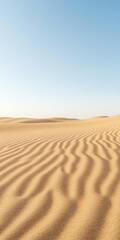 Endless golden dunes under a clear blue sky during the warm afternoon in the desert
