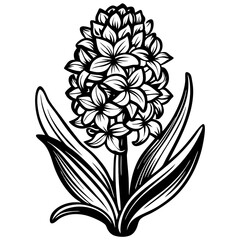 Continuous one line drawing beauty fresh hyacinths for home wall décor poster art. Hyacinth flower