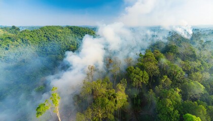 Thick smoke rises above lush forest during a fire, creating a hazy and dangerous atmosphere over the landscape