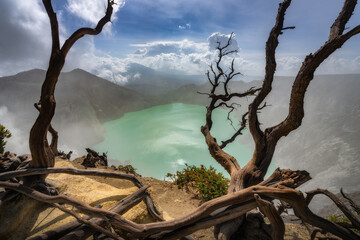 A stunningly vibrant turquoise crater lake elegantly framed by gnarled trees, all under a misty sky that beautifully showcases the serene and peaceful beauty of nature, Java, Ijen Volcano, Indonesia