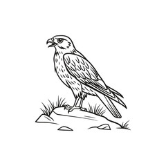 Birds hand drawn vector art