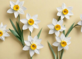 Obraz premium Repeating motif of delicate white daffodils on a pale yellow surface, poster, webpage, social media, cover