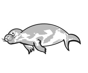 Illustration design Vector seal Isolated background