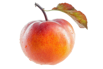 Freshly picked apple with a vibrant red and orange skin, showcasing glistening droplets of water