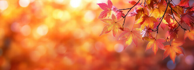 Fototapeta premium Autumn Leaves with Blurred Background for Seasonal Digital Marketing Campaigns, autumn background, place for text, banner