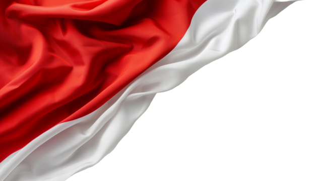 Polish flag on a transparent background
