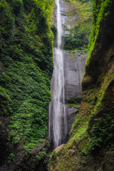Obraz premium A stunningly beautiful Madakaripura Waterfall cascades gracefully down rocky cliffs, completely enveloped by vibrant greenery and the breathtaking natural beauty surrounding it, Java, Indonesia