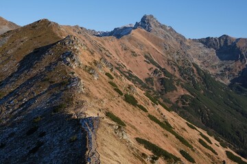 Panorama of Czerwone Wierchy range from around Kasprowy Wierch Peak, Tatras Mountains, Poland. During trekking red trail on sunny autumn day. Little silhouettes of people on trail.