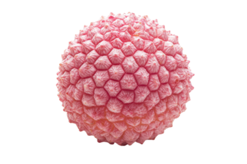 Detailed view of a virus structure showcasing hexagonal symmetry and textured surface characteristics