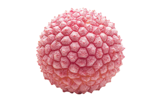 Detailed view of a virus structure showcasing hexagonal symmetry and textured surface characteristics