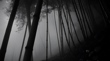 Obraz premium Monochrome bamboo forest shrouded in mist, evocative of mystery and tranquility.
