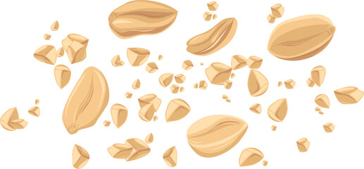 Peanuts. For design projects, food packaging, advertising, or creating educational materials, ideal for use in food-related branding, health-conscious products, or culinary-themed artwork