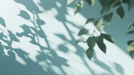 Soft light casts shadows of green leaves on a light teal wall.