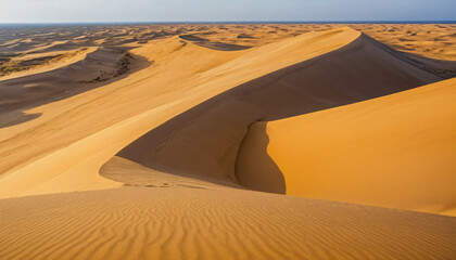 sand dunes in the desert