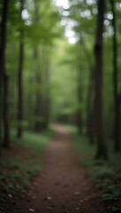 Fototapeta premium Fondo desenfocado de bosque