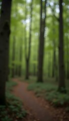 Fondo desenfocado de bosque