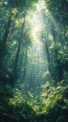 Obraz premium Sunbeams pierce a lush green forest canopy illuminating ferns and foliage below. Ideal for nature lovers or adding serenity to your device.