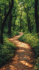 Fototapeta premium Tranquil nature walk pathway through lush green forest serene environment high-resolution textures