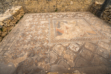 Floor mosaic, Volubilis, Berber-Roman city in Morocco