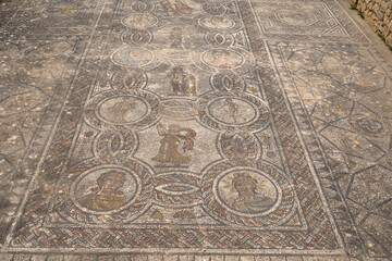 Floor mosaic, Volubilis, Berber-Roman city in Morocco