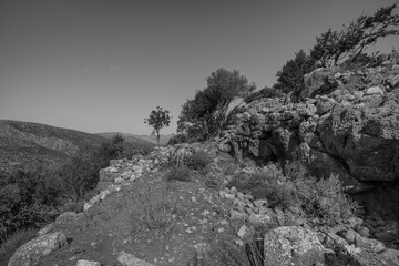 Ancient site of lato near Kritsa © roostler