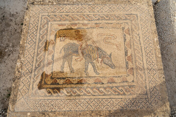 Floor mosaic, Volubils, Berber-Roman city in Morocco