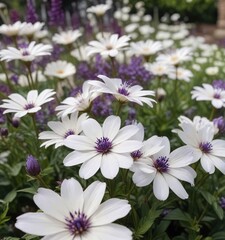 Fototapeta premium Stunning close-up of white flowers with purple accents in a garden setting, botanical collection, close-up shot, colorful palette, springtime scenery, garden landscape