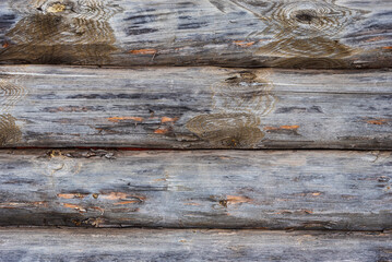 Wood texture of the old log house.