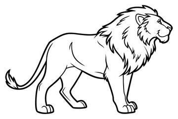 lion outline drawing
