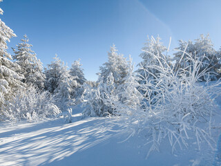 Winter Landscape of Vitosha Mountain, Bulgaria