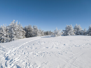 Winter Landscape of Vitosha Mountain, Bulgaria