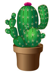 Green cacti in a flower pot with pink flowering. Prickly house plant - flowering cactus. Cacti linear image with gradient. Cactus blooming with spikes - vector illustration	